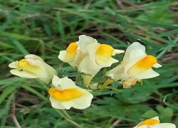 IMG 20210919 WA0020 IMG 20210919 WA0020