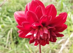 IMG 20210919 WA0021 IMG 20210919 WA0021