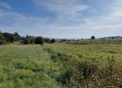 20210912 100131 Copy 1849x1387 20210912 100131 Copy 1849x1387