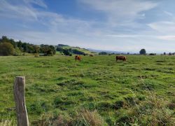 20210912 100236 Copy 1849x1387 20210912 100236 Copy 1849x1387