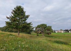 20210912 100915 Copy 1849x1387 20210912 100915 Copy 1849x1387