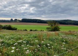 20210912 101530 Copy 1849x1387 20210912 101530 Copy 1849x1387