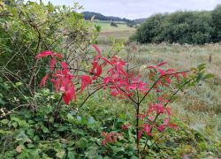 20210912 102613 Copy 1849x1387 20210912 102613 Copy 1849x1387