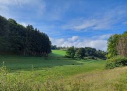 20210912 104636 Copy 1849x1387 20210912 104636 Copy 1849x1387