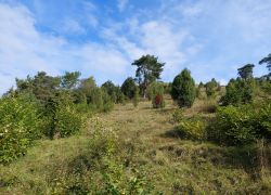 20210912 105355 Copy 1849x1387 20210912 105355 Copy 1849x1387