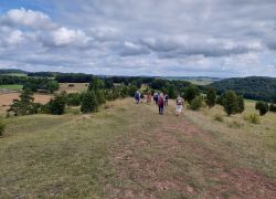 20210912 111905 Copy 1849x1387 20210912 111905 Copy 1849x1387