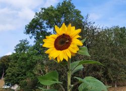 20210912 112640 Copy 1849x1387 20210912 112640 Copy 1849x1387