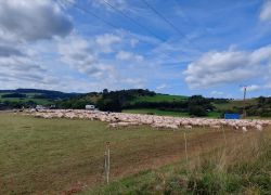 20210912 114029 Copy 1849x1387 20210912 114029 Copy 1849x1387