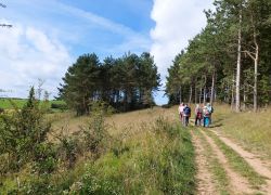 20210912 114836 Copy 1849x1387 20210912 114836 Copy 1849x1387