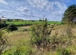 20210912 114849 Copy 1849x1387 20210912 114849 Copy 1849x1387