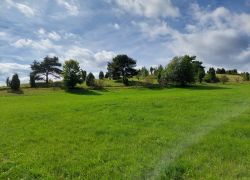 20210912 115502 Copy 1849x1387 20210912 115502 Copy 1849x1387