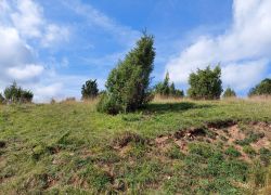 20210912 115636 Copy 1849x1387 20210912 115636 Copy 1849x1387