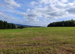 20210912 123631 Copy 1849x1387 20210912 123631 Copy 1849x1387