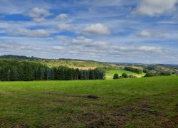 20210912 123959 Copy 1849x1387 20210912 123959 Copy 1849x1387