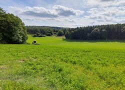 20210912 125839 Copy 1849x1387 20210912 125839 Copy 1849x1387