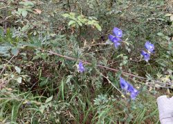 20210912 133729 Copy 1849x1387 20210912 133729 Copy 1849x1387