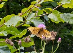 20210912 135114 Copy 1305x979 20210912 135114 Copy 1305x979