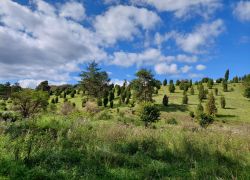 20210912 140833 Copy 1849x1387 20210912 140833 Copy 1849x1387