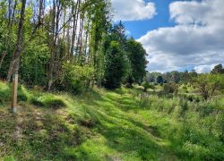 20210912 140839 Copy 1849x1387 20210912 140839 Copy 1849x1387