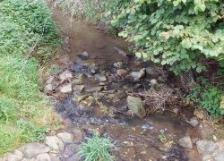 20210912 142341 Copy 1849x1387 20210912 142341 Copy 1849x1387