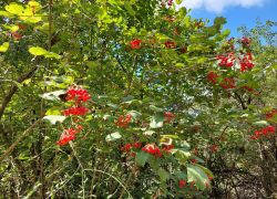 20210912 144356 Copy 1849x1387 20210912 144356 Copy 1849x1387