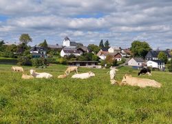 20210912 150733 Copy 1849x1387 20210912 150733 Copy 1849x1387