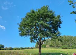 20210905 105340 Copy 1849x1387 20210905 105340 Copy 1849x1387