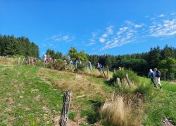 20210905 105504 Copy 1849x1387 20210905 105504 Copy 1849x1387