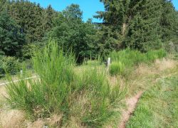 20210905 105705 Copy 1849x1387 20210905 105705 Copy 1849x1387