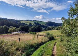 20210905 105807 Copy 1849x1387 20210905 105807 Copy 1849x1387