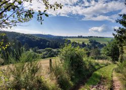 20210905 110023 Copy 1849x1387 20210905 110023 Copy 1849x1387