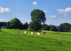 20210905 111710 Copy 1305x979 20210905 111710 Copy 1305x979