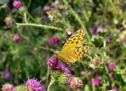 20210905 113616 Copy 1305x979 20210905 113616 Copy 1305x979