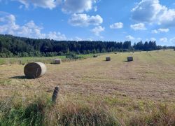 20210905 113849 Copy 1849x1387 20210905 113849 Copy 1849x1387