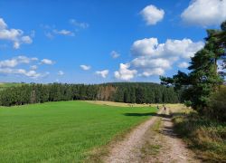 20210905 114315 Copy 1849x1387 20210905 114315 Copy 1849x1387