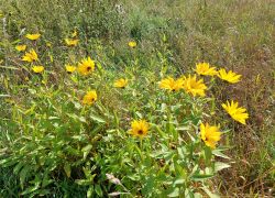 20210905 114402 Copy 1849x1387 20210905 114402 Copy 1849x1387