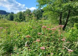 20210905 122558 Copy 1849x1387 20210905 122558 Copy 1849x1387