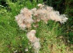 20210905 130657 Copy 1849x1387 20210905 130657 Copy 1849x1387