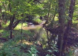 20210905 131142 Copy 1849x1387 20210905 131142 Copy 1849x1387