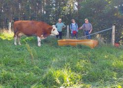 20210905 131728 Copy 1849x1387 20210905 131728 Copy 1849x1387