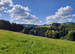 20210905 132248 Copy 1849x1387 20210905 132248 Copy 1849x1387