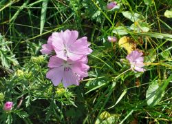 20210905 132735 Copy 1305x979 20210905 132735 Copy 1305x979