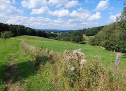 20210905 142101 Copy 1849x1387 20210905 142101 Copy 1849x1387