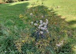 20210905 143841 Copy 1849x1387 20210905 143841 Copy 1849x1387