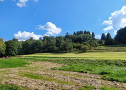 20210905 150023 Copy 1849x1387 20210905 150023 Copy 1849x1387