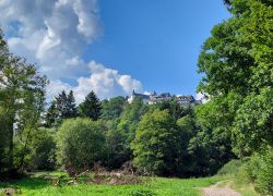 20210905 150428 Copy 1849x1387 20210905 150428 Copy 1849x1387