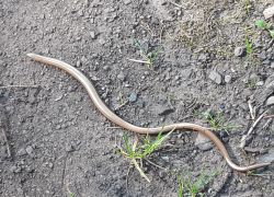 IMG 20210905 WA0000 IMG 20210905 WA0000