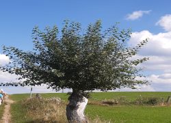 IMG 20210905 WA0005 IMG 20210905 WA0005