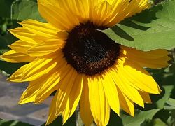 IMG 20210905 WA0008 IMG 20210905 WA0008