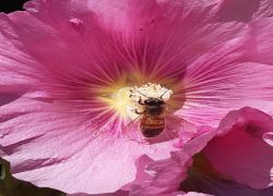 IMG 20210905 WA0012 IMG 20210905 WA0012